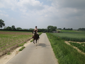 Koetsentocht St-Gilain-St lievens houtem 2014 001