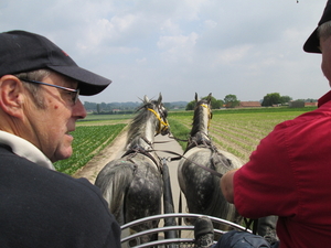 Koetsentocht St-Gilain-St lievens houtem 2014 003