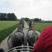 Koetsentocht St-Gilain-St lievens houtem 2014 005