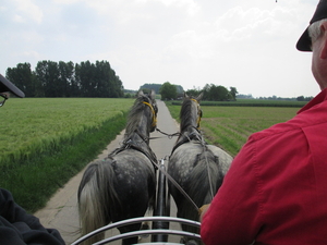 Koetsentocht St-Gilain-St lievens houtem 2014 005