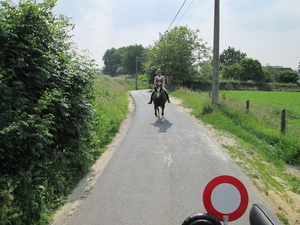 Koetsentocht St-Gilain-St lievens houtem 2014 006