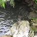 DSCN7275