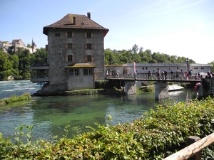 DSCN7290