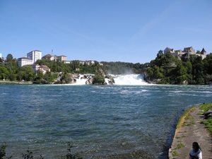 DSCN7292