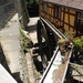 DSCN7321