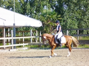 P1100603