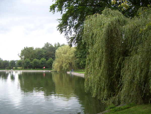 Herfstwandeling in vrijbroekpark - 3 september 2015