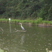 Herfstwandeling in vrijbroekpark - 3 september 2015