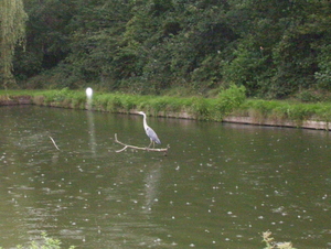 Herfstwandeling in vrijbroekpark - 3 september 2015