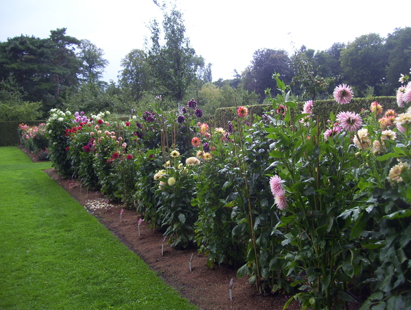 Herfstwandeling in vrijbroekpark - 3 september 2015