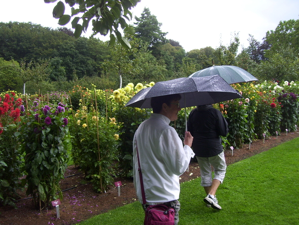 Herfstwandeling in vrijbroekpark - 3 september 2015