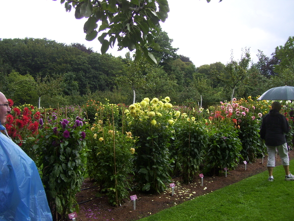 Herfstwandeling in vrijbroekpark - 3 september 2015