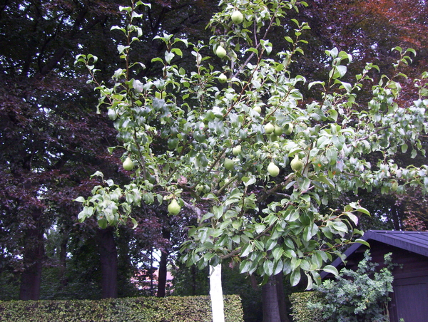 Herfstwandeling in vrijbroekpark - 3 september 2015