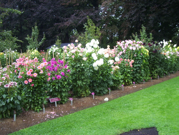 Herfstwandeling in vrijbroekpark - 3 september 2015