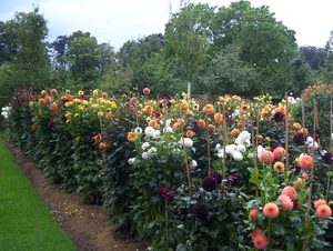 Herfstwandeling in vrijbroekpark - 3 september 2015