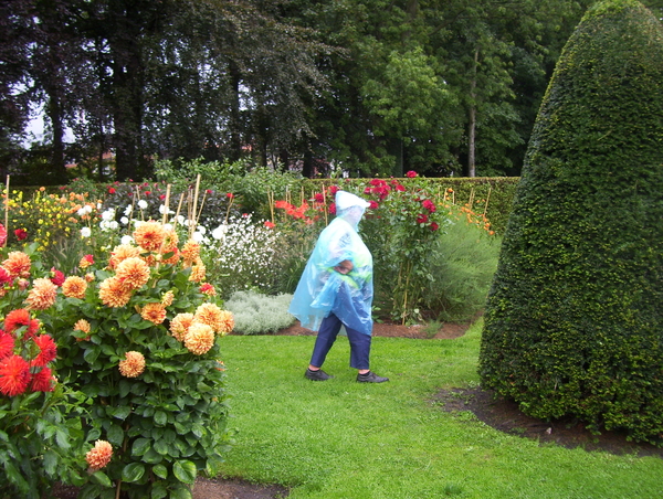 Herfstwandeling in vrijbroekpark - 3 september 2015