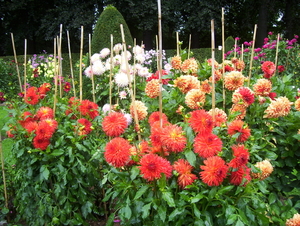 Herfstwandeling in vrijbroekpark - 3 september 2015