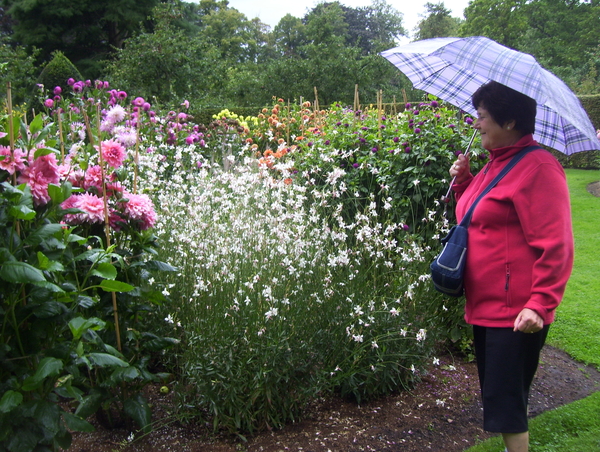 Herfstwandeling in vrijbroekpark - 3 september 2015