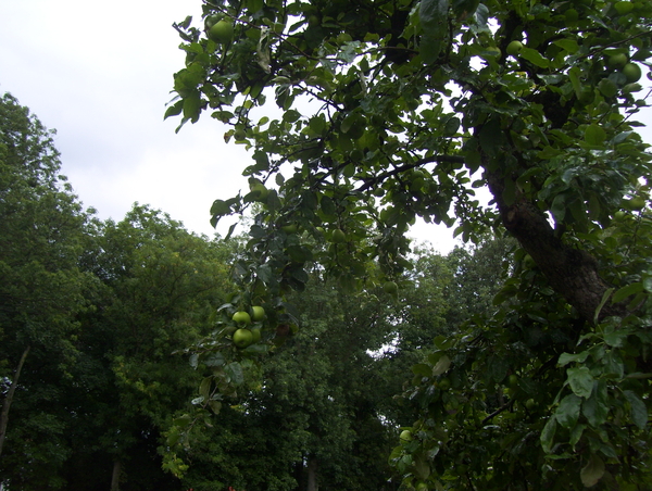 Herfstwandeling in vrijbroekpark - 3 september 2015