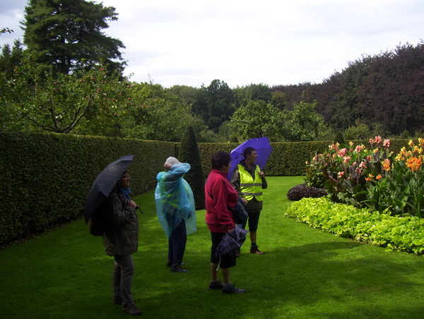 Herfstwandeling in vrijbroekpark - 3 september 2015