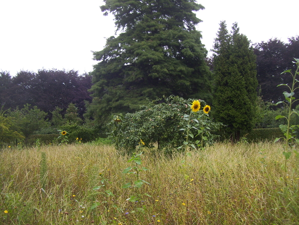 Herfstwandeling in vrijbroekpark - 3 september 2015