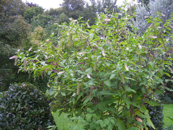 Herfstwandeling in vrijbroekpark - 3 september 2015