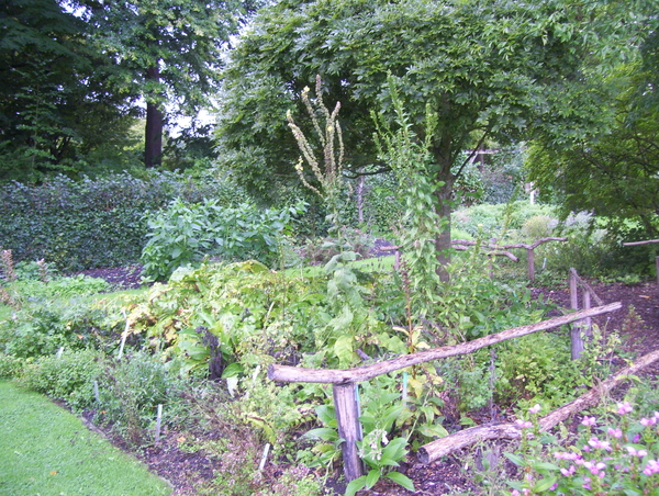 Herfstwandeling in vrijbroekpark - 3 september 2015