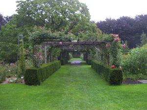 Herfstwandeling in vrijbroekpark - 3 september 2015