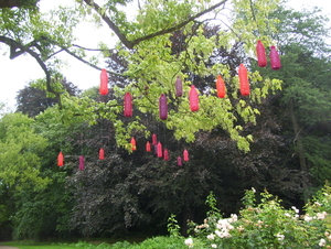 Herfstwandeling in vrijbroekpark - 3 september 2015