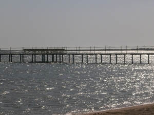 P8300012