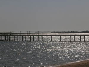 P8300018