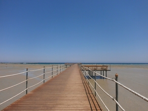 P8300019
