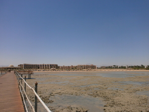 P8300030