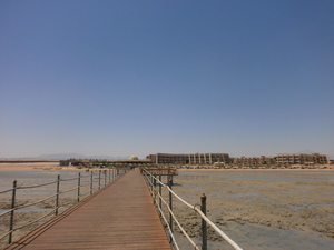 P8300031