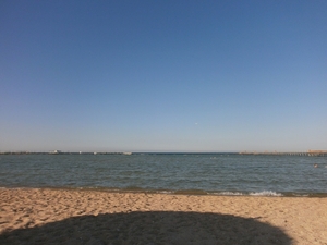 P8300039