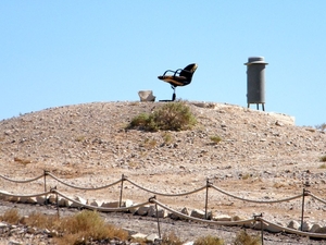 2015_09_25 Jordanie 020