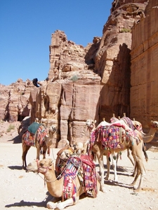 2015_09_28 Jordanie 082