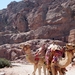 2015_09_28 Jordanie 103