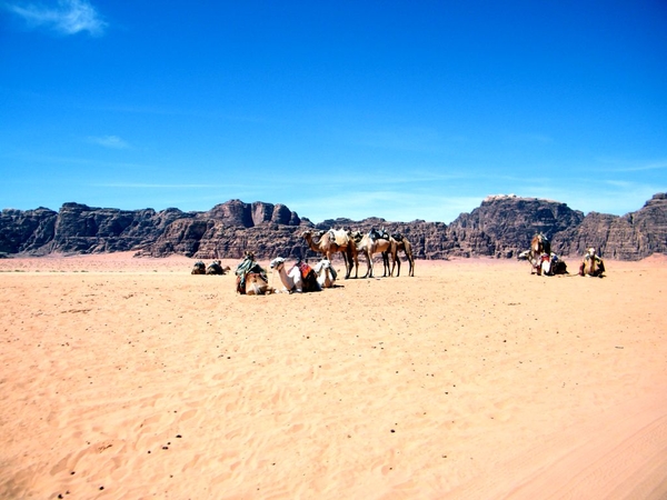 jordani jordanie jordan