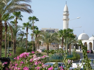 2015_10_03 Jordani 02