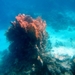 2015_10_05 Jordani 054