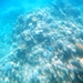 2015_10_05 Jordani 060