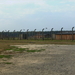 Birkenau 01