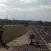 Birkenau 05