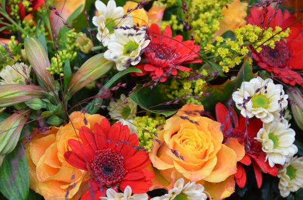 002  HET COURIERKEN.....