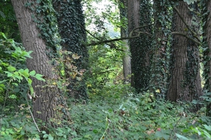 060