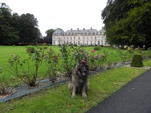 Chateau de Sissi