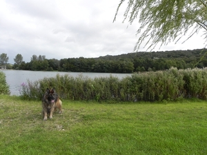 Vittefleur - Lac de Caniel