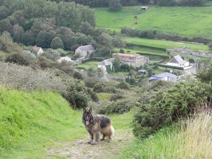 Falaises des Grandes Dalles