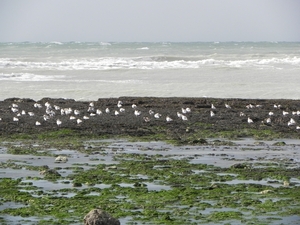 Veulettes-sur-Mer